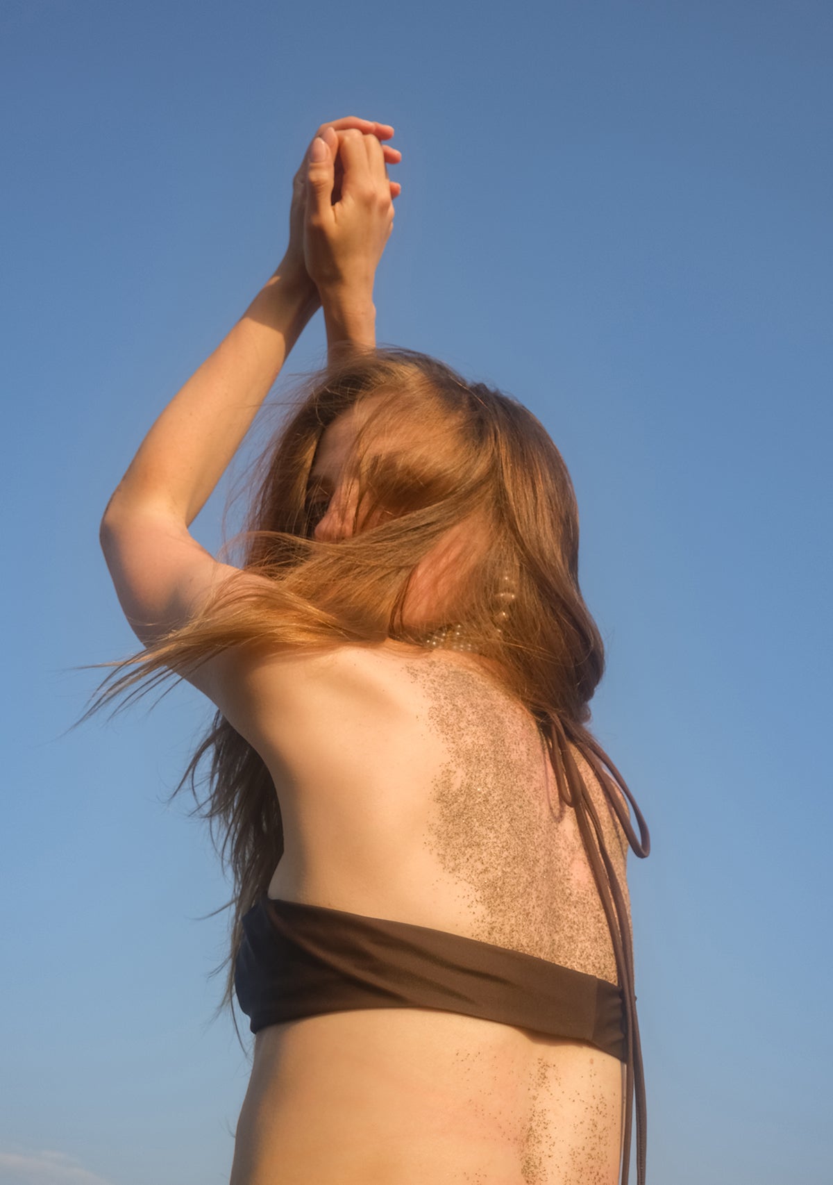 Brown Gaia Top