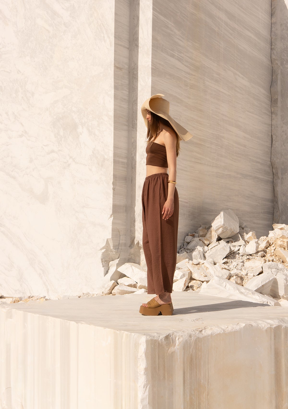 Brown Pants