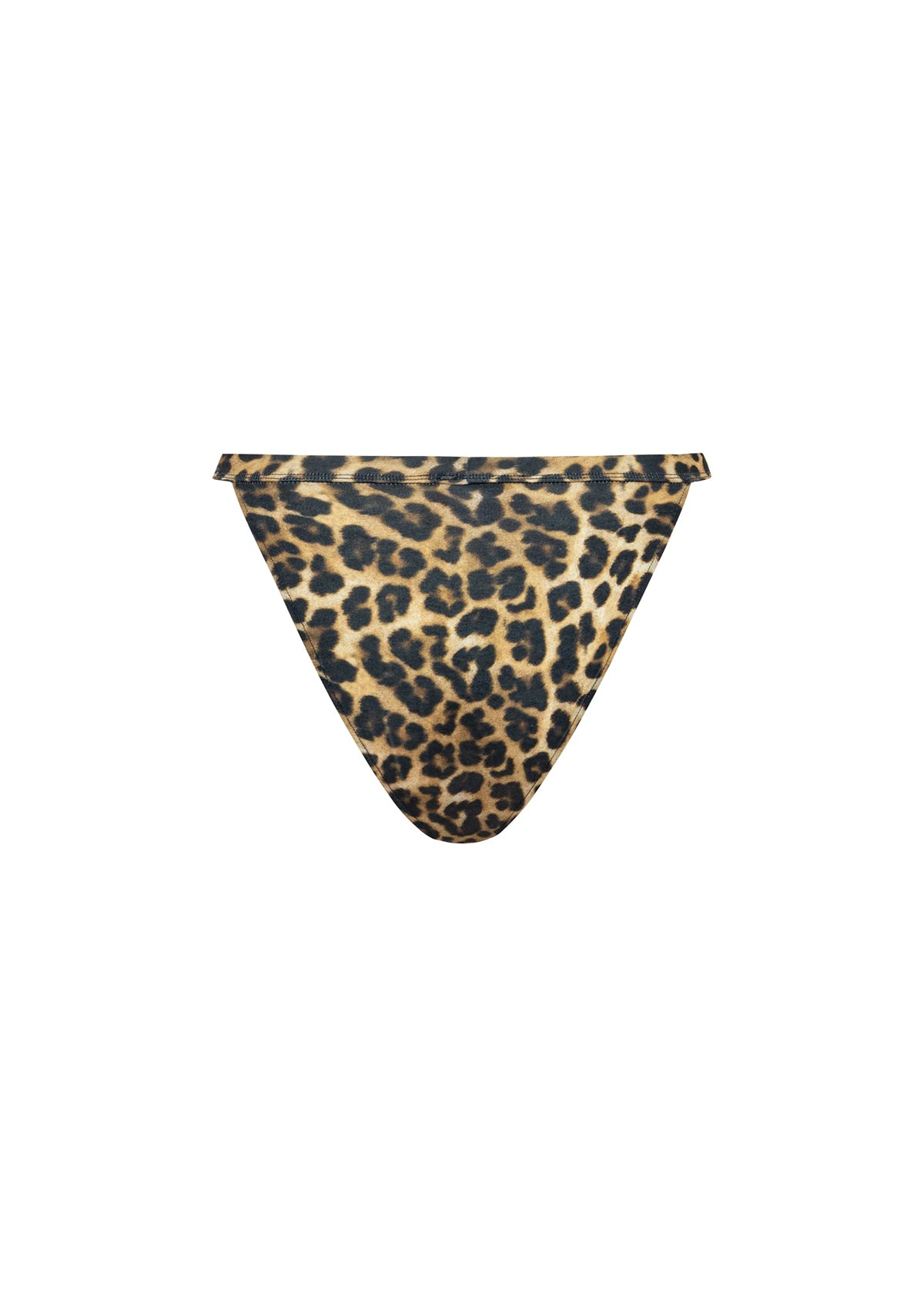 Rawrrr Briefs