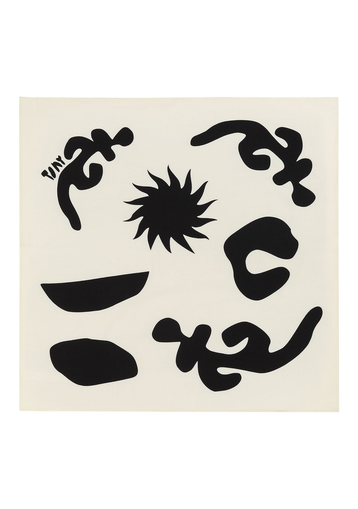 Aurai Scarf