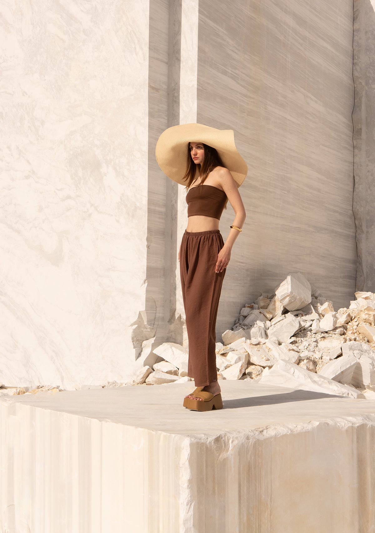 Brown Strapless Top