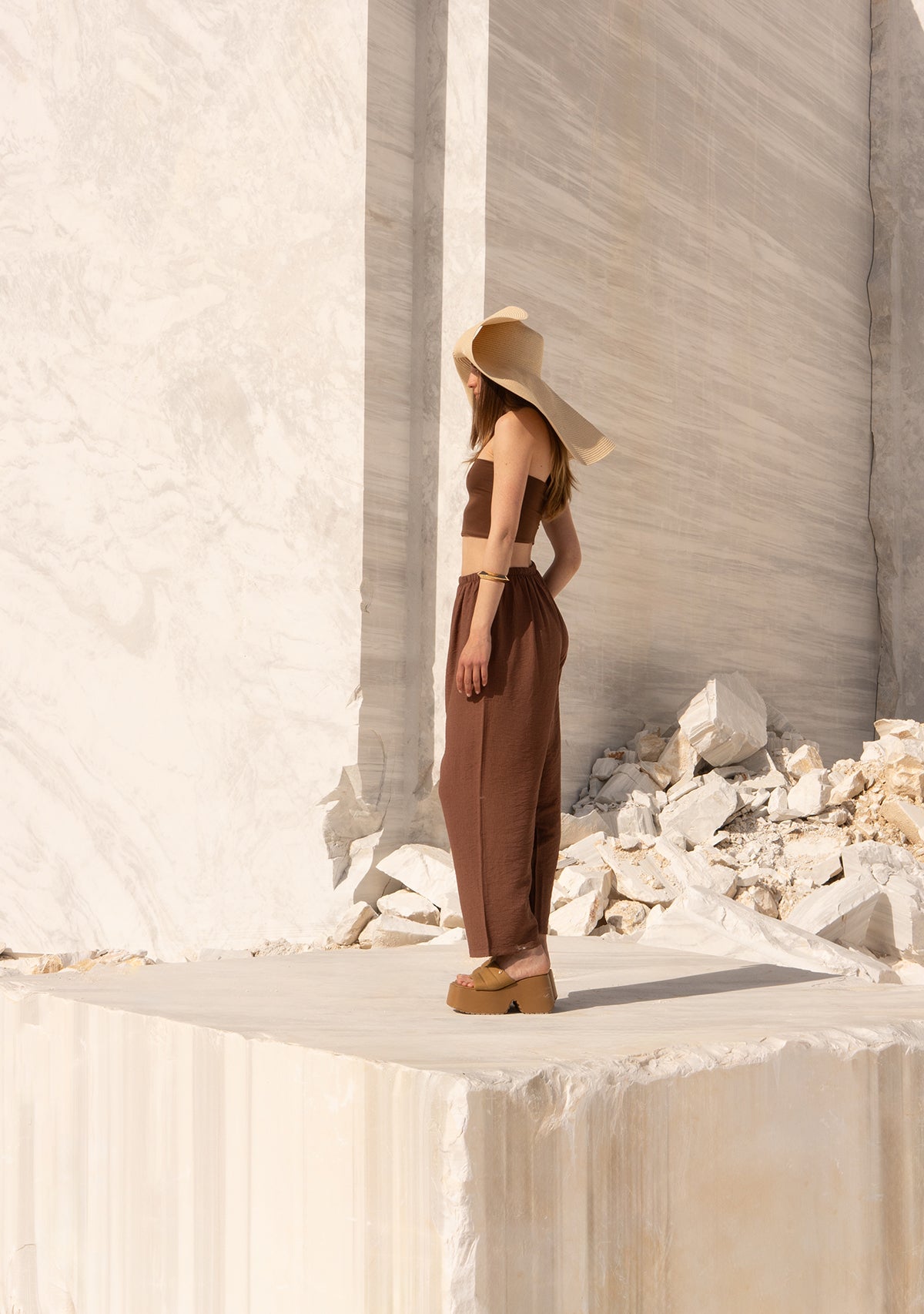 Brown Strapless Top