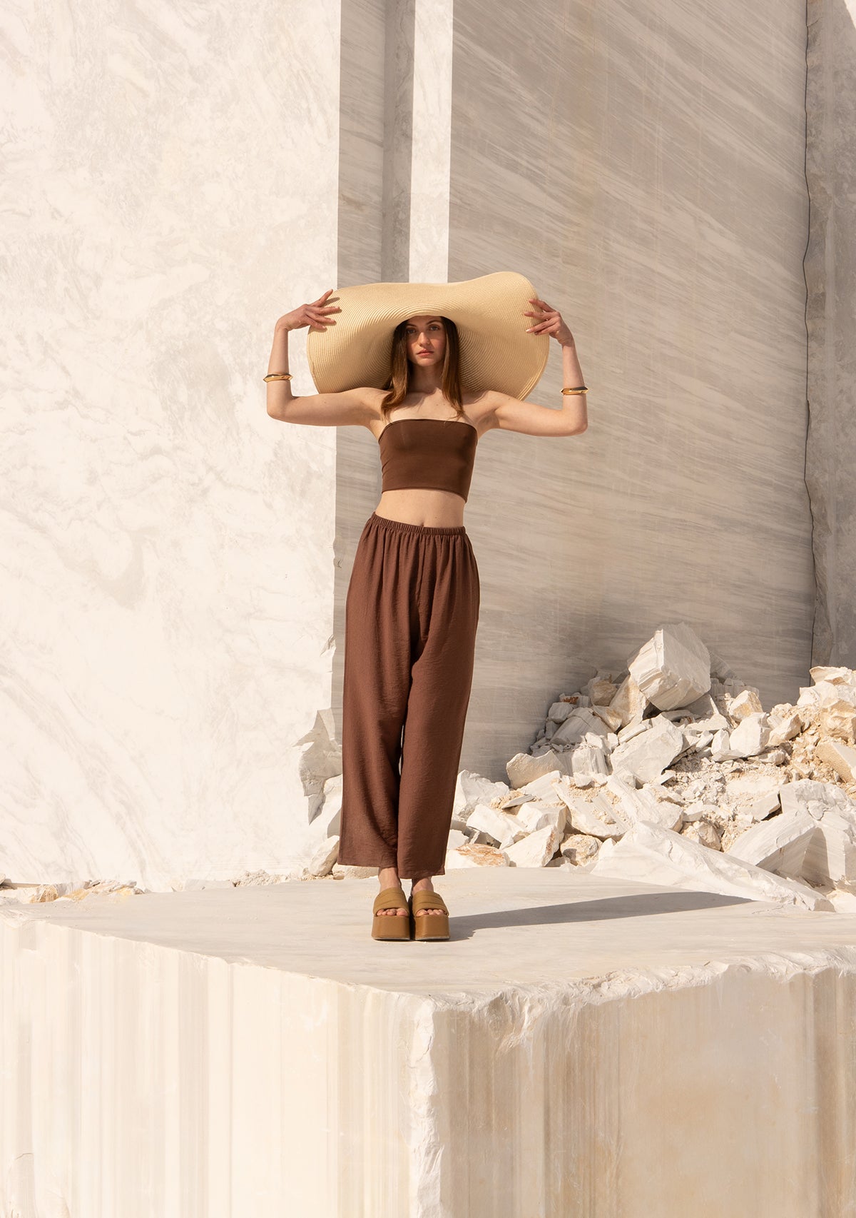 Brown Strapless Top