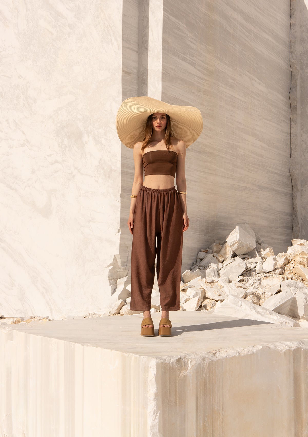 Brown Strapless Top